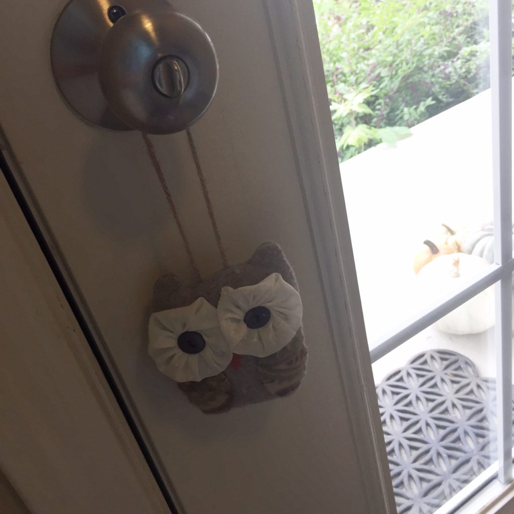 door-owl