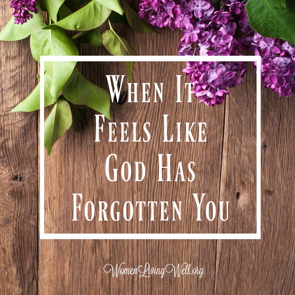 If you're in a season of waiting, it seems there is no answer in sight, and it feels like God has forgotten you, here is what you need to remember. #Biblestudy #2Samuel #WomensBibleStudy #GoodMorningGirls