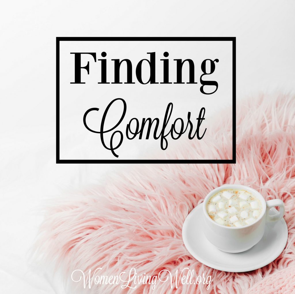 When life goes off the rails and we find the only place we can find comfort is in God we will find that this is the only true comfort. #Biblestudy #Ruth #WomensBibleStudy #GoodMorningGirls
