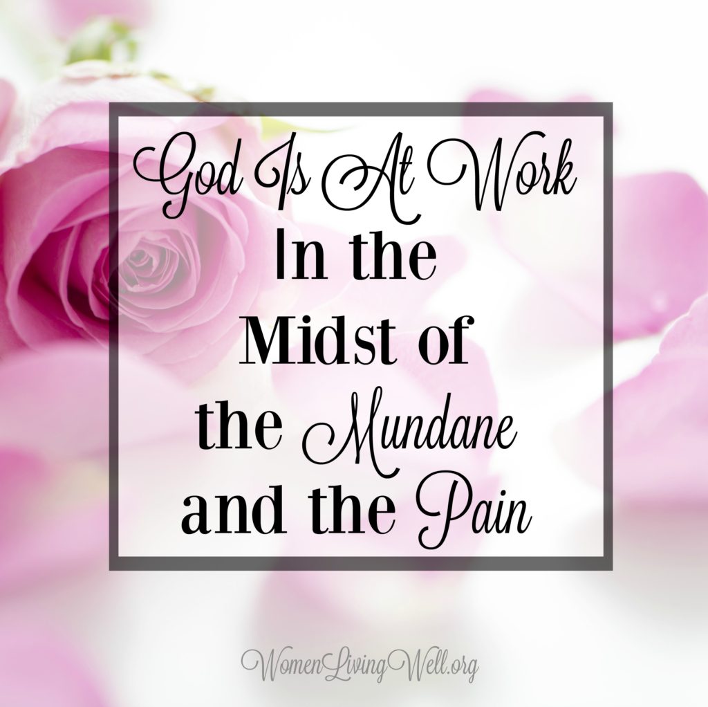 In the mundane and painful times of our life, we should encourage our hearts with the truth that God is at work even in the midst of the mundane and the pain. #Biblestudy #Ruth #WomensBibleStudy #GoodMorningGirls