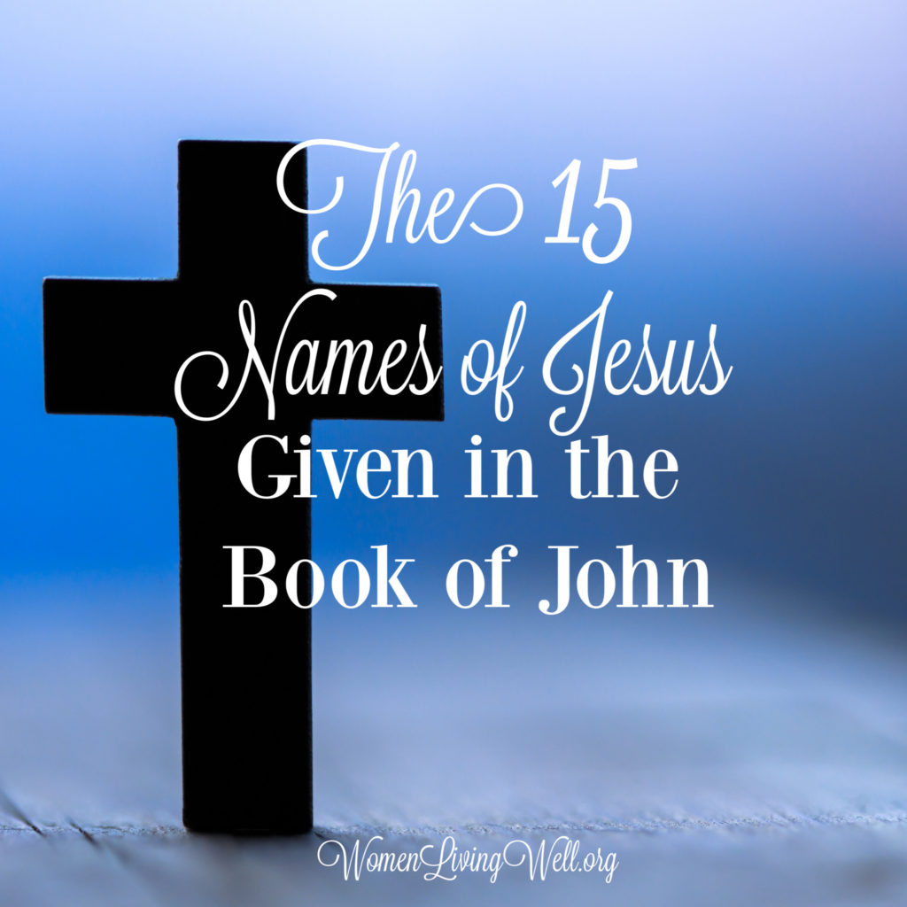 In the Gospel of John we see Jesus in a way we don't see Him in any of the other three gospels. Here are 15 names of Jesus we see in the book of John.  #Biblestudy #John #WomensBibleStudy #GoodMorningGirls