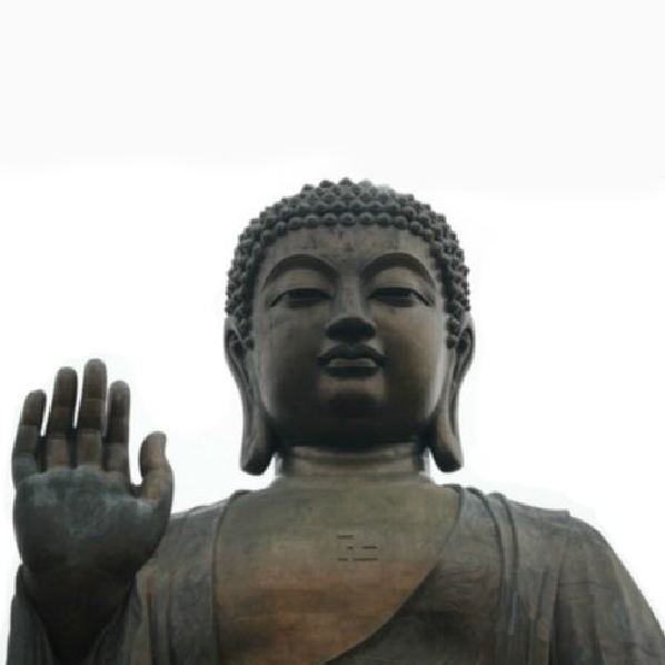 My Daily Encounter With Buddha