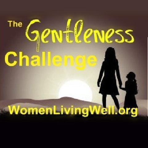 Introducing – The Gentleness Challenge