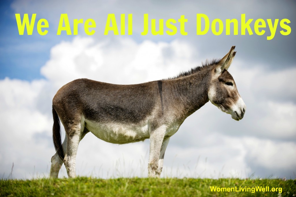 We are all donkeys