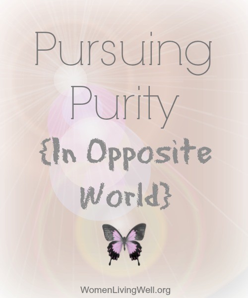 Pursuing Purity in Opposite World