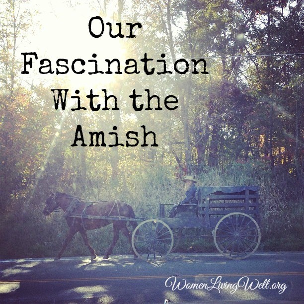 Our Fascination with the Amish