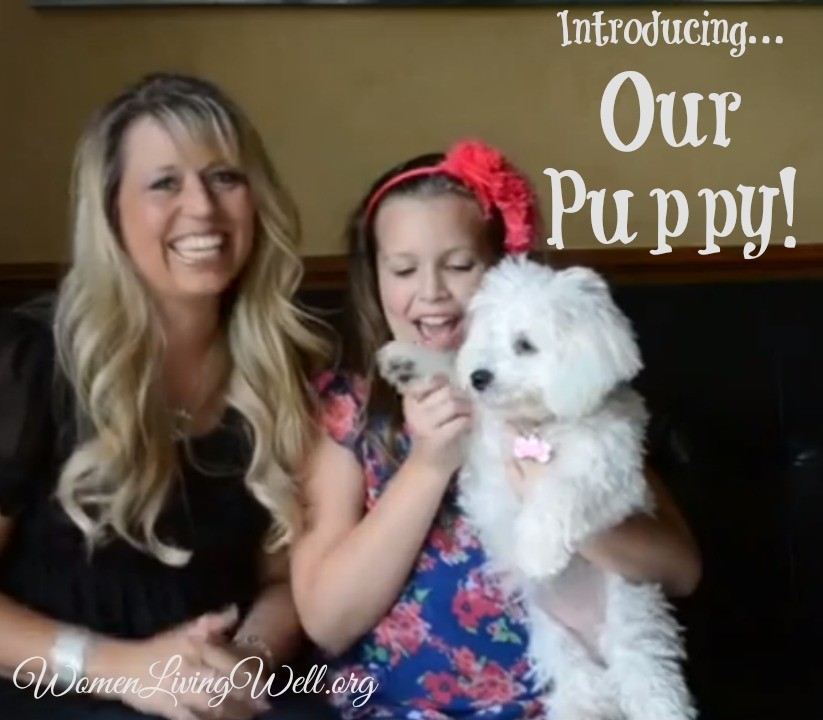 Introducing…our puppy!
