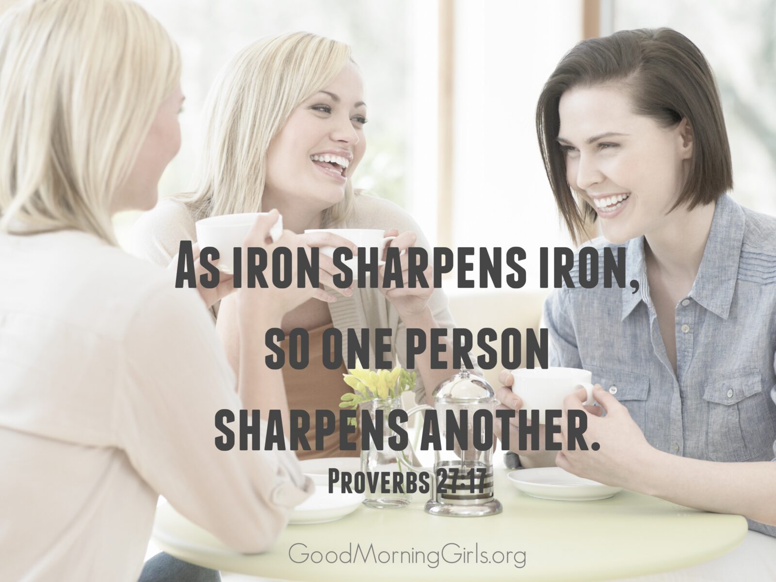 Proverbs 2717 iron sharpens iron