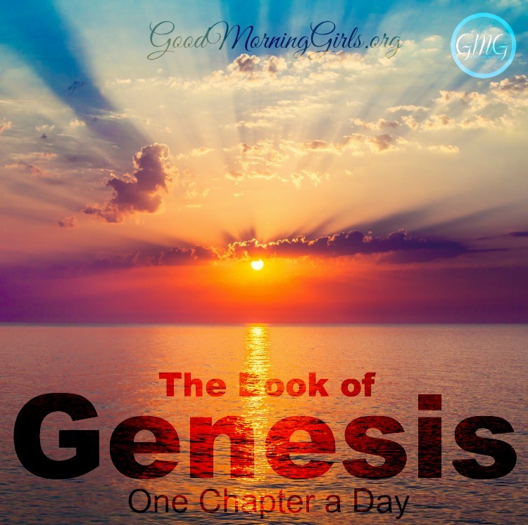 Study Genesis with this free online Bible study from Good Morning Girls' and find all of the graphics, blog posts and videos right here! #Biblestudy #Genesis #WomensBibleStudy #GoodMorningGirls