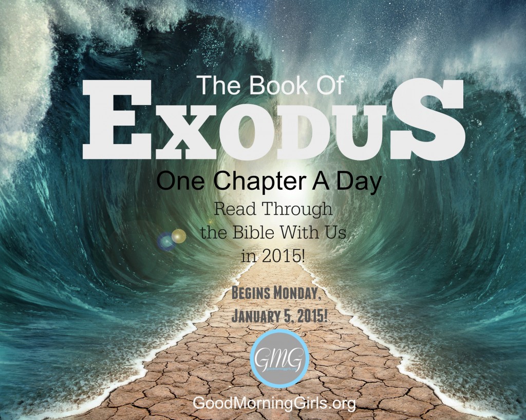 The Book of Exodus One Chapter a Day!