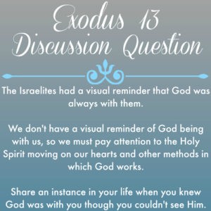 Exodus 13