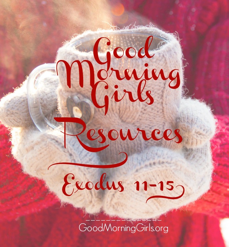 Join Good Morning Girls as we read through the Bible cover to cover one chapter a day. Here is the information you need for the Book of Exodus. #Biblestudy #exodus #WomensBibleStudy #GoodMorningGirls
