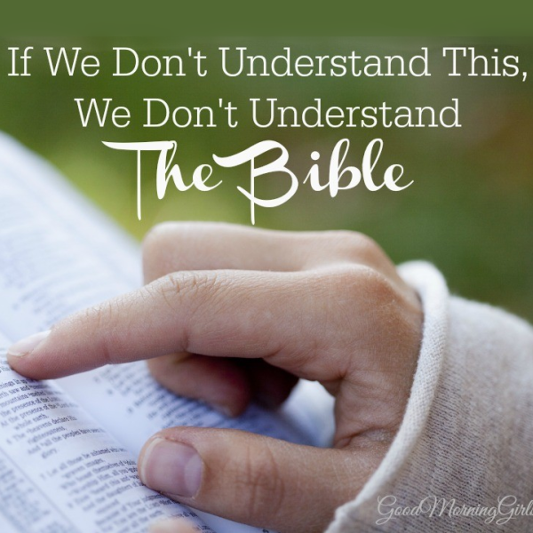 If We Don’t Understand This, We Don’t Understand the Bible {Exodus 24}