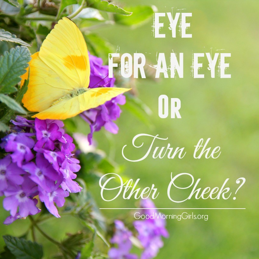 In Leviticus we read about an eye for an eye, but Jesus said turn the other cheek. This is how should a Christian respond when they are offended?. #Biblestudy #Leviticus #WomensBibleStudy #GoodMorningGirls