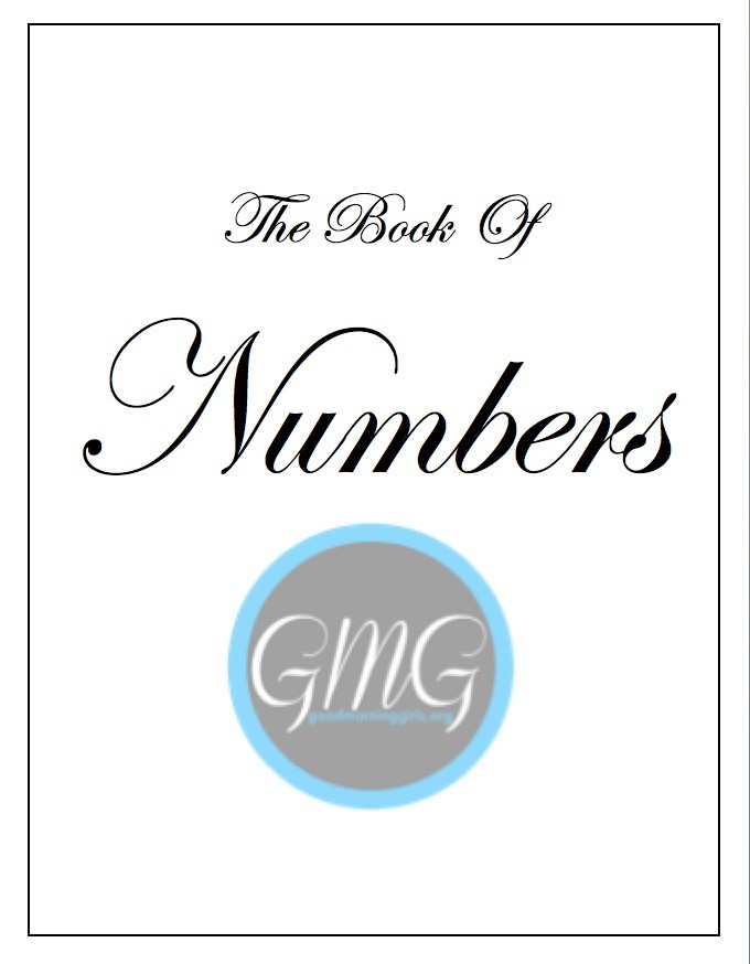 Cover Book of Numbers Short Journal