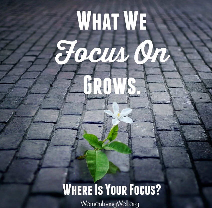 What We Focus On Grows {Where Is Your Focus?}