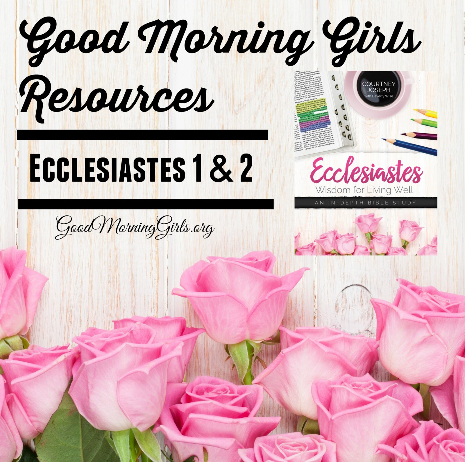 Join Good Morning Girls as we read through the Bible cover to cover one chapter a day. Here are the resources you need to study the Book of Ecclesiastes. #Biblestudy #Ecclesiastes #WomensBibleStudy #GoodMorningGirls