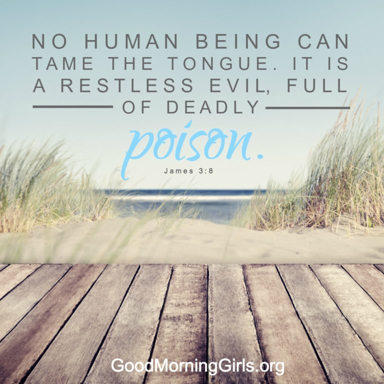 It’s Time to Begin the Book of James! {Intro and Resources for James 1 ...
