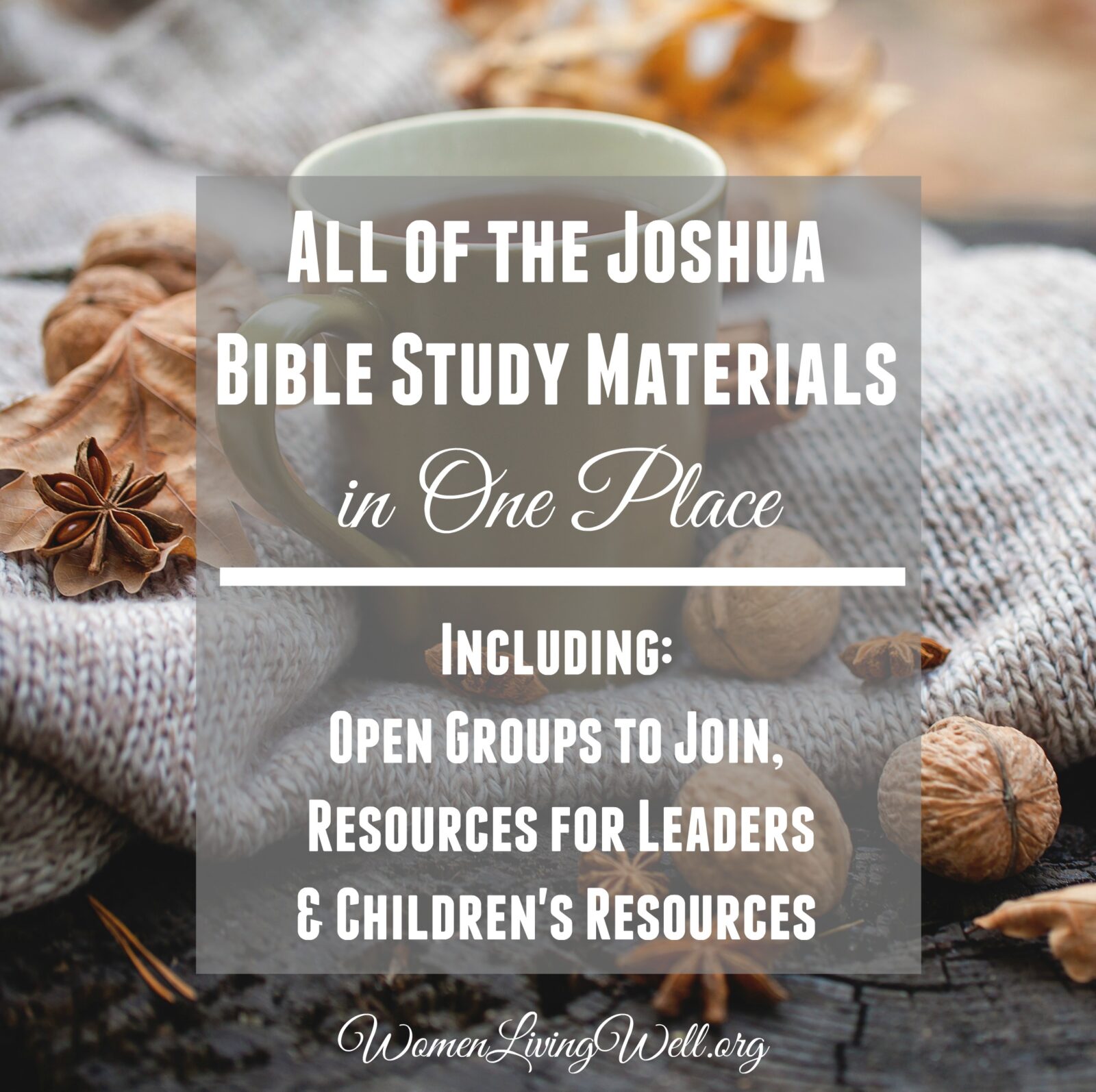 All of the Joshua Bible Study Materials in One Place {Including Open Groups, Resources ...2221 x 2212