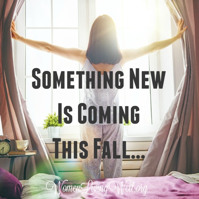 Something New is Coming This Fall…