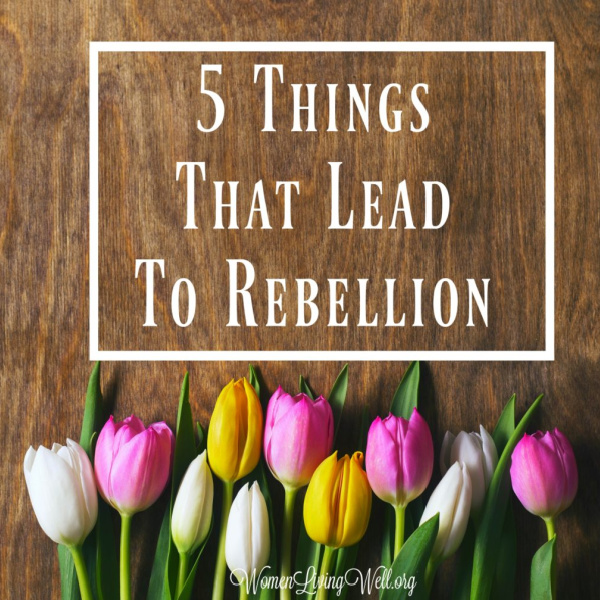 5 Things That Lead to Rebellion