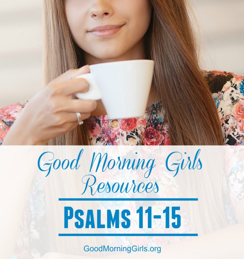 Join Good Morning Girls as we read through the Bible cover to cover one chapter a day. Here are the resources you need to study the book of Psalms #Biblestudy #Psalms #WomensBibleStudy #GoodMorningGirls