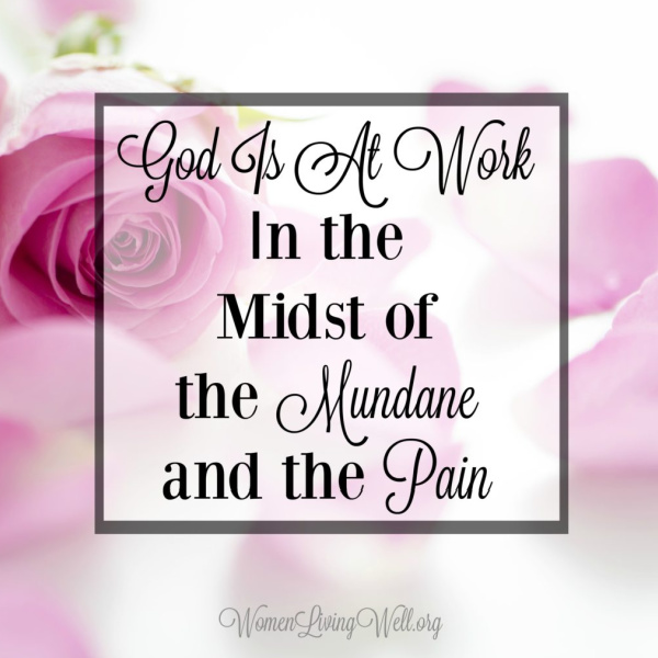 God Is At Work In the Midst of the Mundane and the Pain (Ruth: Week 1)