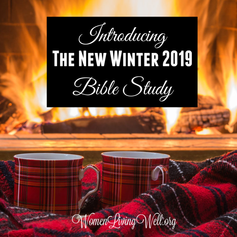 Introducing the New Winter 2019 Bible Study