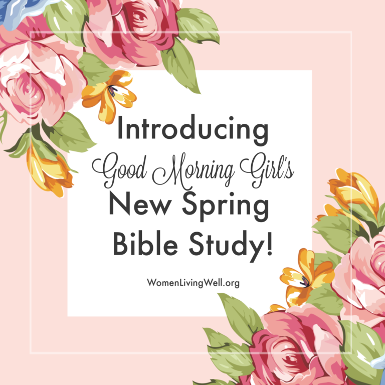 Introducing the New Spring 2019 Bible Study