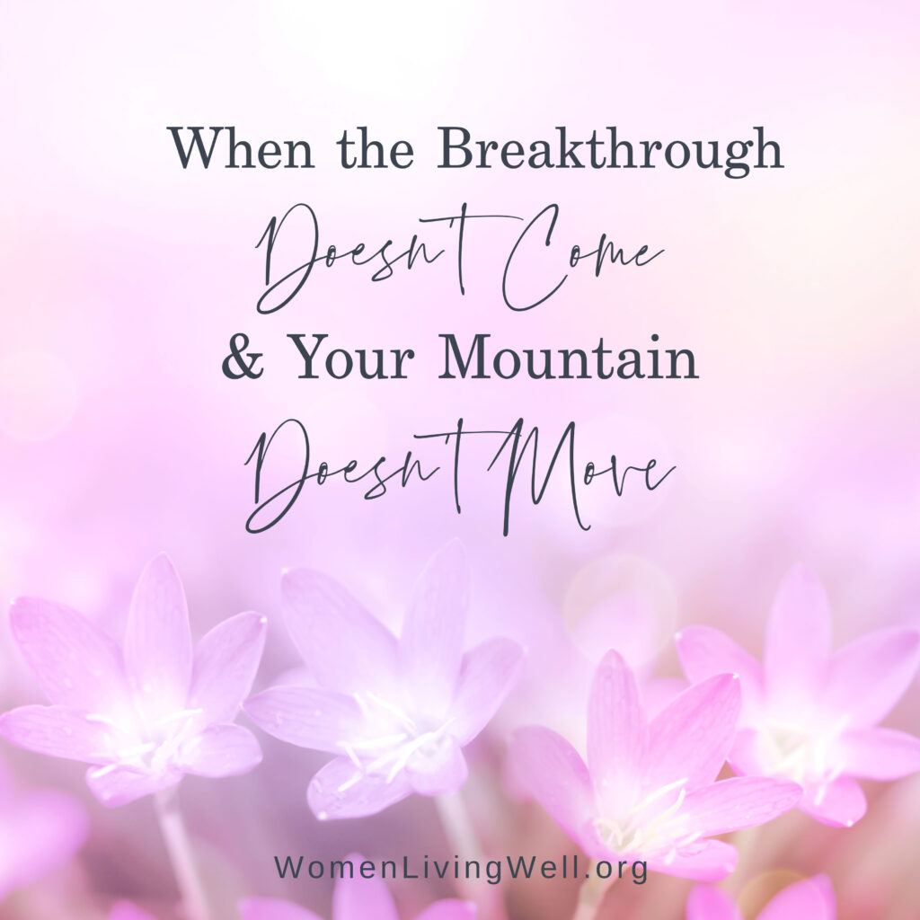 There are times when we are waiting for a breakthrough that doesn't come and our mountain doesn't move. Here is how we should respond. #Biblestudy #1Chronicles #WomensBibleStudy #GoodMorningGirls