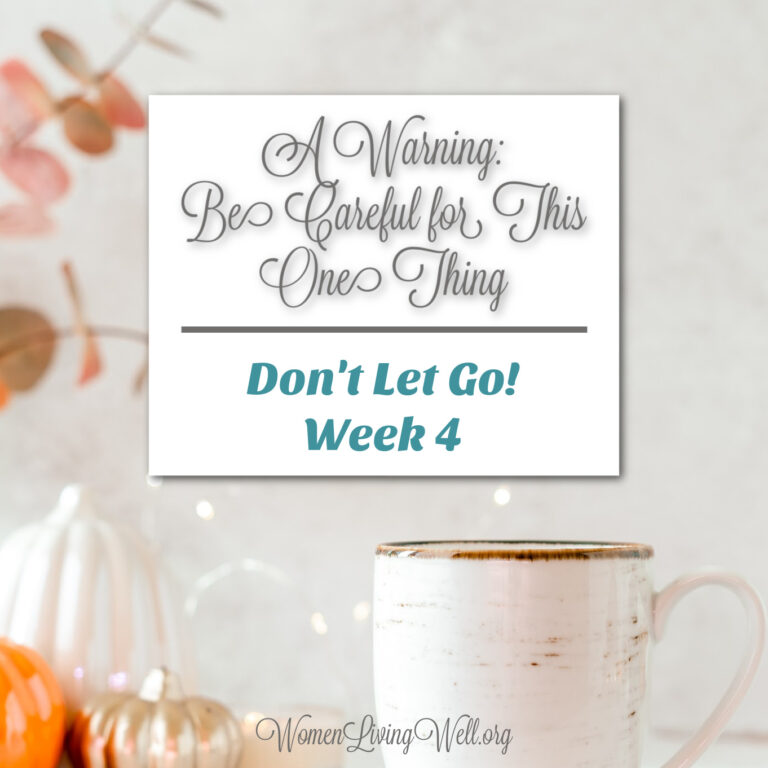 A Warning: Be Careful for This One Thing {Don’t Let Go! Week 4}