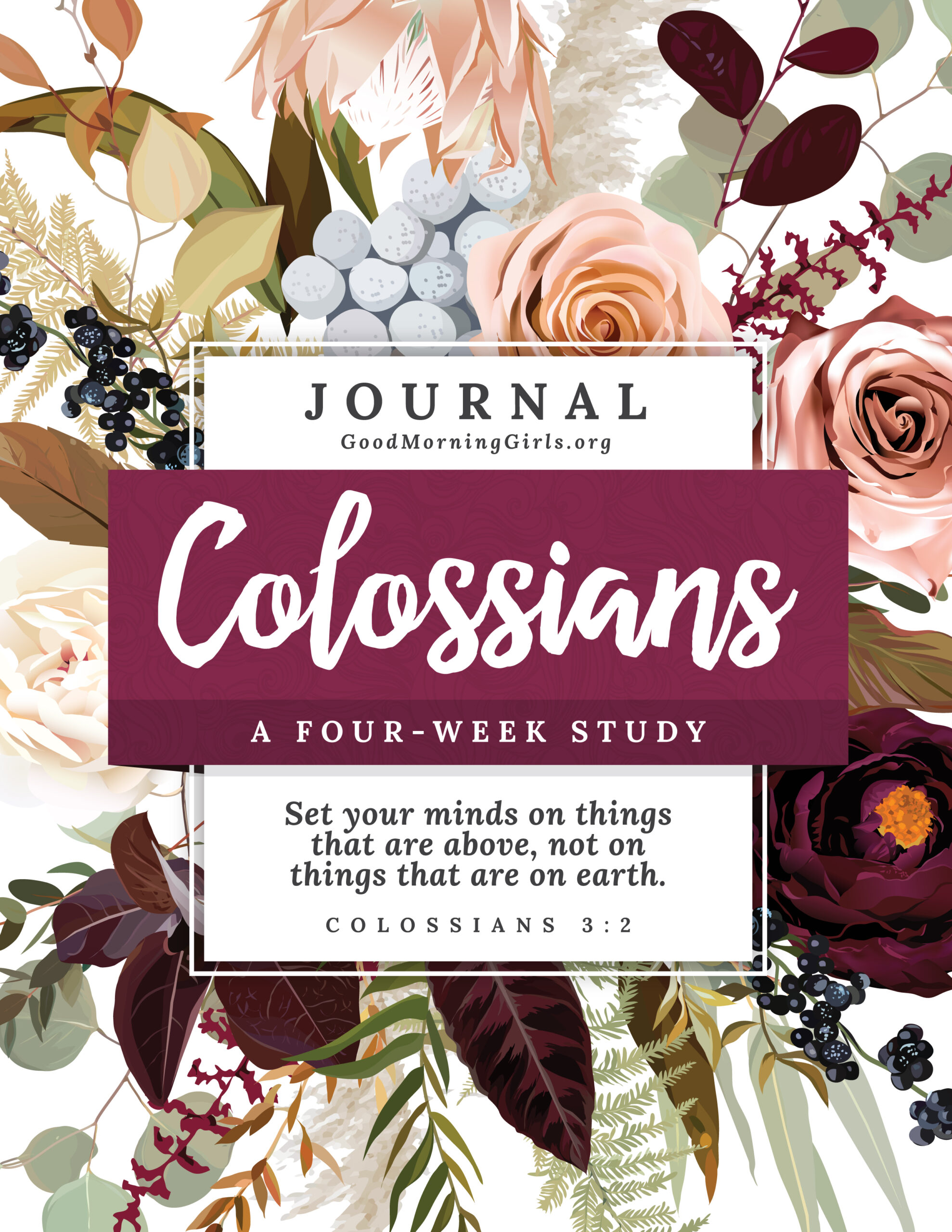 Introducing the New Fall 2024 Bible Study - Women Living Well