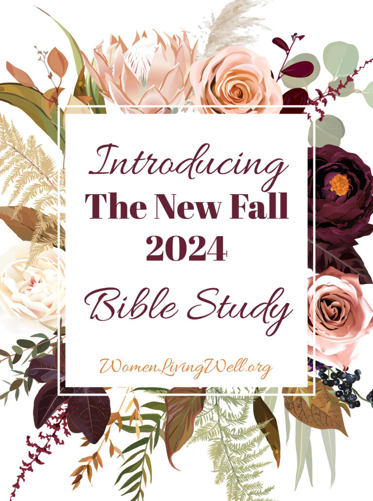 Introducing the New Fall 2024 Bible Study