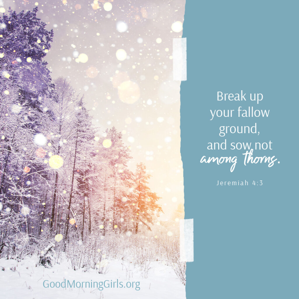 Jeremiah 4:3