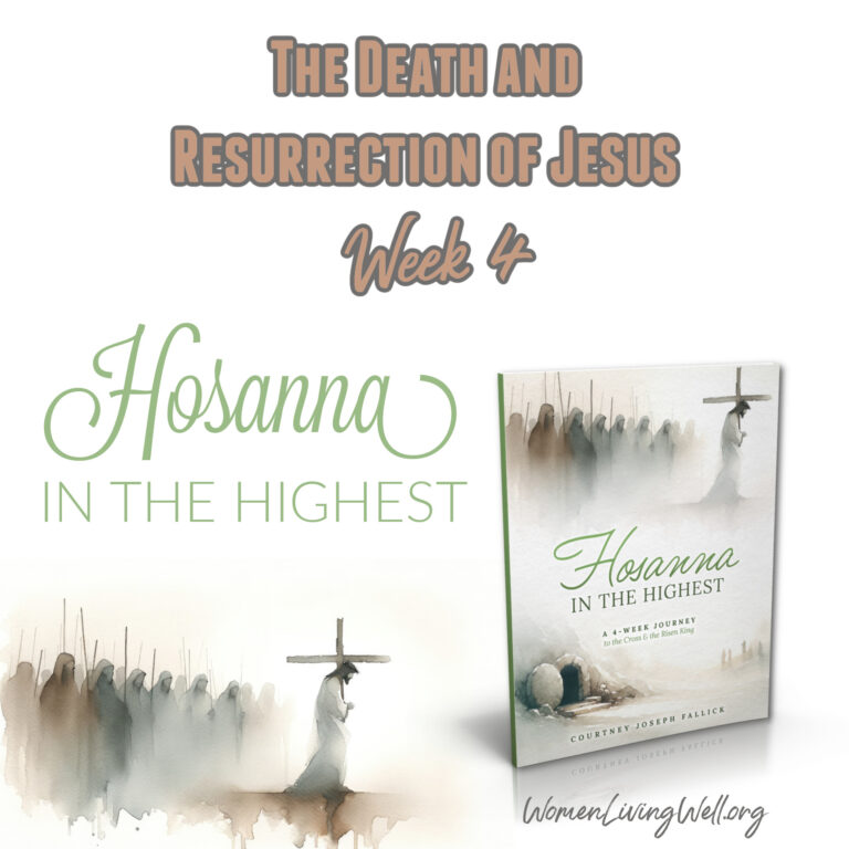 ✝️ The Death and Resurrection of Jesus (Week 4 – 🌿Hosanna in the Highest🌿)