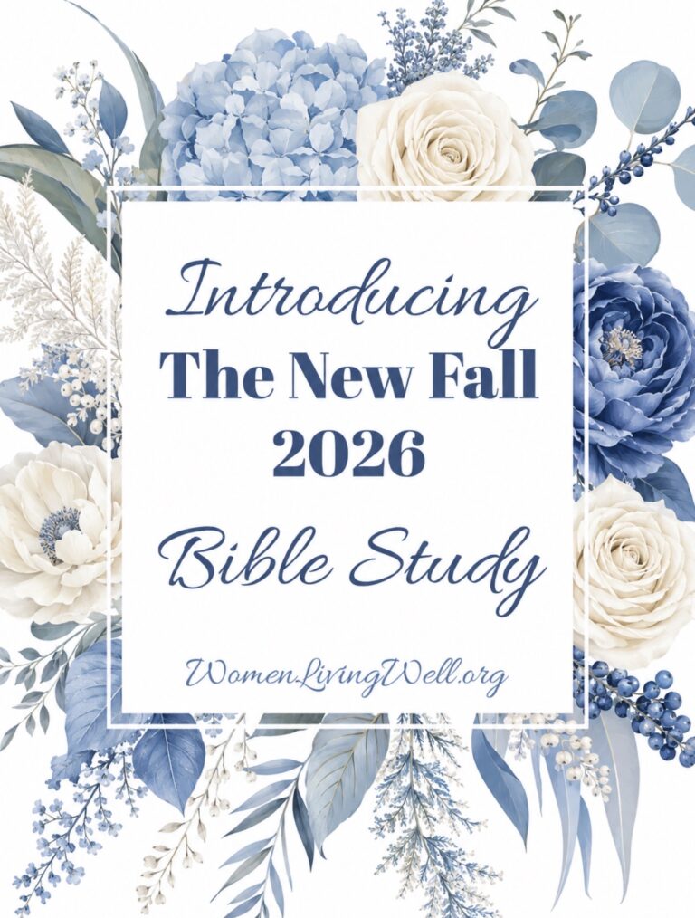 🍂 📖  introducing the NEW Fall 2026 Bible Study 📖  🍂