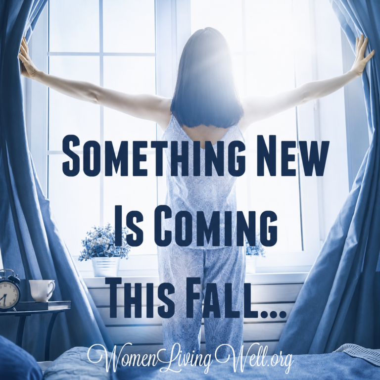 💙 🧡 SOMETHING NEW is Coming This Fall 🧡 💙